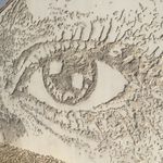 Annearchambault - @annearchambault83 - Instagram