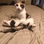 Anne Arian - @oldladyfoodie - Instagram
