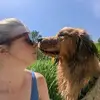 Annetidisestablishmentarian - @anneelinder - TikTok