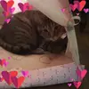 Anne Avery - @anne.avery77 - TikTok