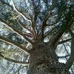 Anne Lola Bariteaud - @annebariteaud - Instagram