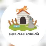 Çiçek Anne Barınağı - @cicekannebarinagii - Instagram