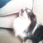 Anne Bark - @annebark12 - Instagram