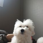 O9 - @barley_anne - Instagram