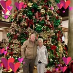 Anne Barnwell - @barnwell4835 - Instagram