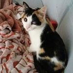 Anna Barone - @annebarone59 - Instagram