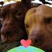Anne Barone - Facebook