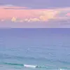 Anne Barr - @donovanpatton269849 - TikTok