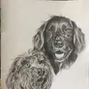 Anne Barr - @anne.barr1 - TikTok
