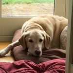 Anne Barratt - @anne_barratt - Instagram