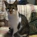 Annie Barratt - Facebook