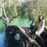 Anne Barreau - @annebarreau - Instagram