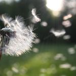 Anne-Sophie Barreau - @annesophie.barreau6 - Instagram