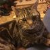 Anne Barrett - Facebook