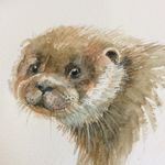 Anne Barron - @wild.about.art - Instagram
