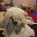 Anne Barrows - Facebook