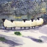 Anne Bartels - @abart2465 - Instagram