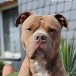 Anne Bartels - @bartels.anne - Instagram