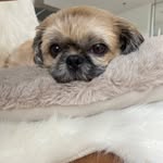 Anne Barth - @annebarth749 - Instagram