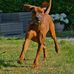 Anne Barth - Facebook