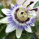 Anne Schmidt-Barthel - @schmidtbarthel - Instagram