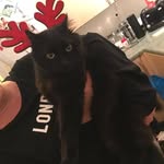 Anne Bartlett - @anne.bartlett.54 - Instagram