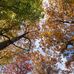 Anne-Bartley Smith natural heritage in Aurora - Facebook