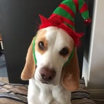 Lee-Anne Bartley - @bartleyleeanne - Instagram
