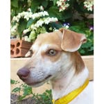 Anne Shirley Bartz - @anne_shirley.b - Instagram