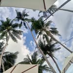 Judy Anne Bartz - @judyannebartz - Instagram