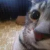 Anne Barth - @anne.barth11 - TikTok