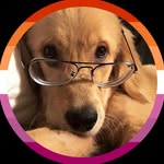 🐶Anne Basco 🐾 - @anne.basco.priv - Instagram