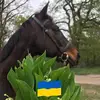annebasincarras - @annebasincarras - TikTok