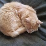 Ann Batchelder - @ann.batchelder.7 - Instagram