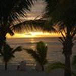 Anne Battersby - @battersby.anne - Instagram
