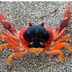 Anne Baudin - @baudin_anne - Instagram