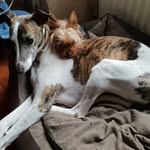 Anne-Marie Baudin - @amab.amab7 - Instagram