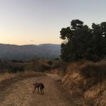 Anne Marie Reif Baum - @annebaum228 - Instagram