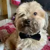 Shysbackup😋 - @shyannebaum1020 - TikTok