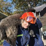 @anne.baumann - Instagram