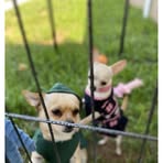 Annette Baumer - Facebook