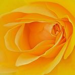 Anne Beadle - Facebook