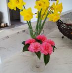Anne Beadle - Facebook
