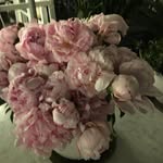 Anne Beal - @anne_m_beal - Instagram