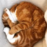 Anne Sanders Beal - @its_mrs_b_to_you - Instagram