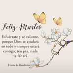 Anne Beamer - Facebook