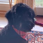 Mary Anne Beamish - @mabtoronto - Instagram