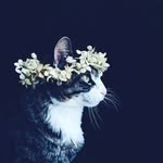 anne / bean - @queen.annee - Instagram