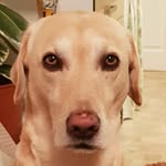Anne-bean2328 - @annebean2328 - Instagram