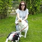 Anne Bean - @annebean1770 - Instagram